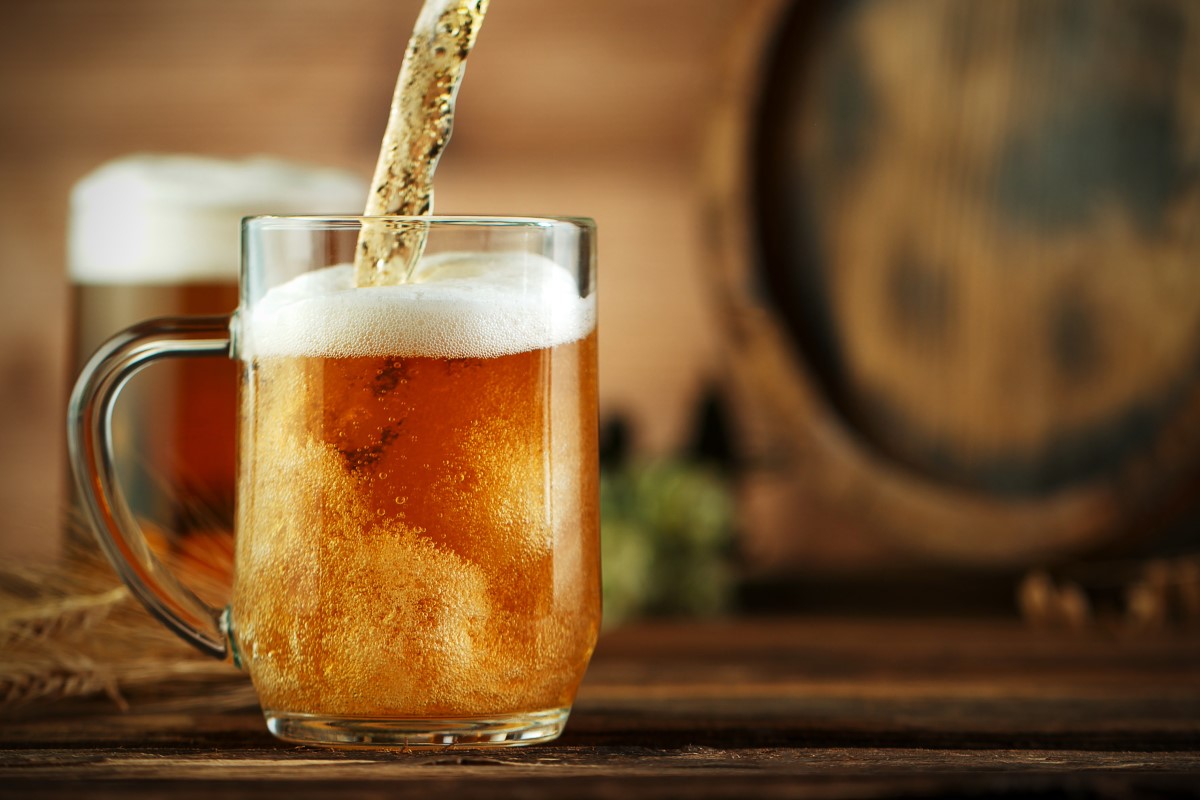 Explain the difference between ale beer and lager beer